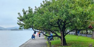 荣昊回归武汉足坛任队长 再创传奇篇章