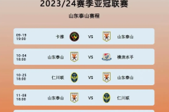 北京国安亚冠困境：董路看衰前景，塞蒂恩战术引争议